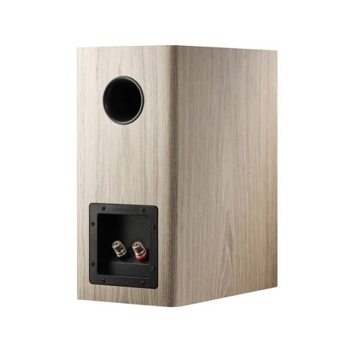 Dynaudio Evoke 20