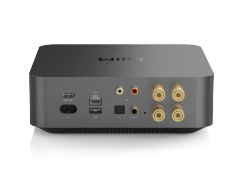 WiiM AMP PRO