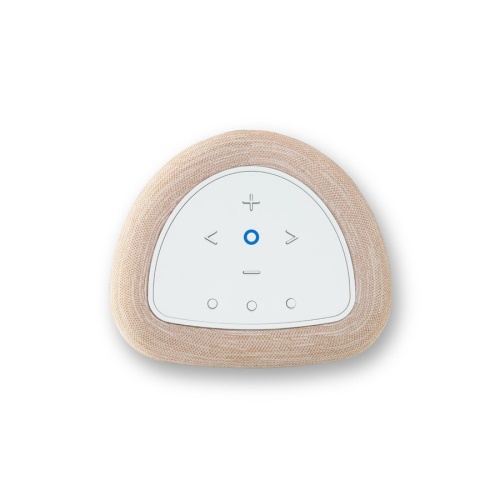 Bluesound PULSE FLEX 