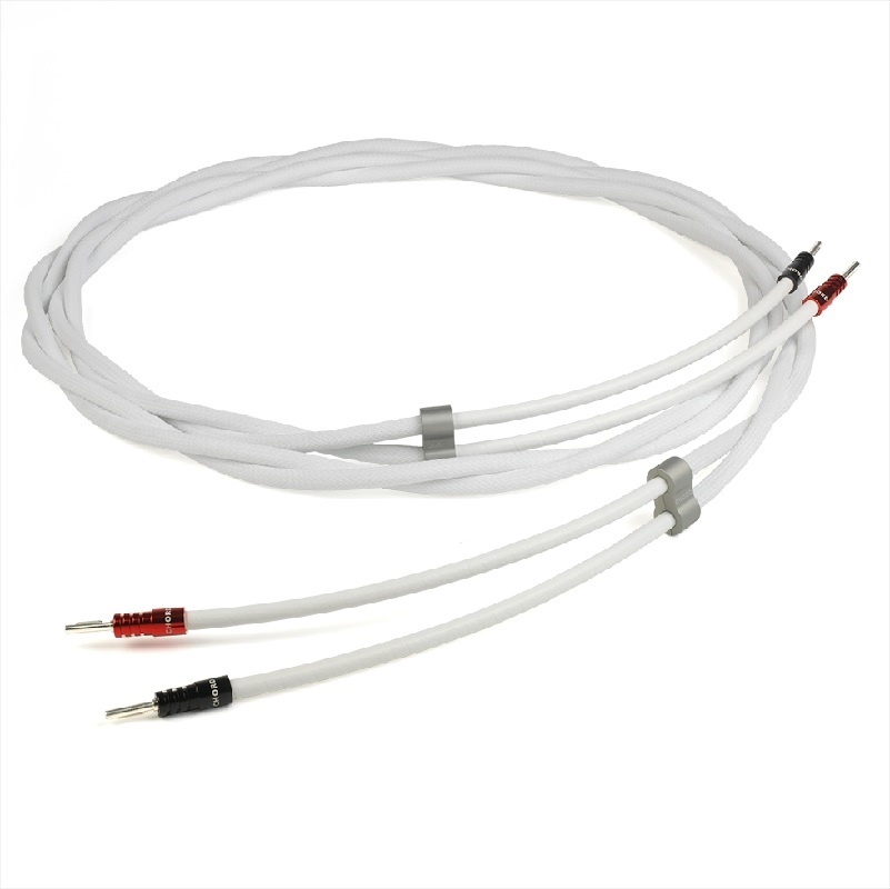 Chord Sarum T
