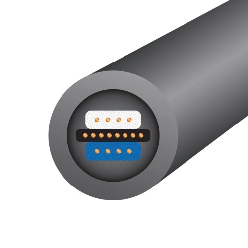Wireworld Equinox 10 (RCA na RCA)