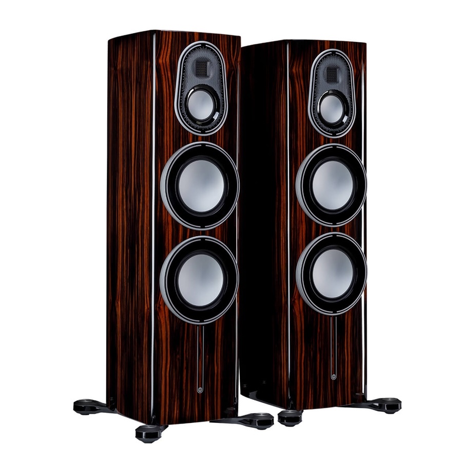 Monitor Audio Platinum 300 3G